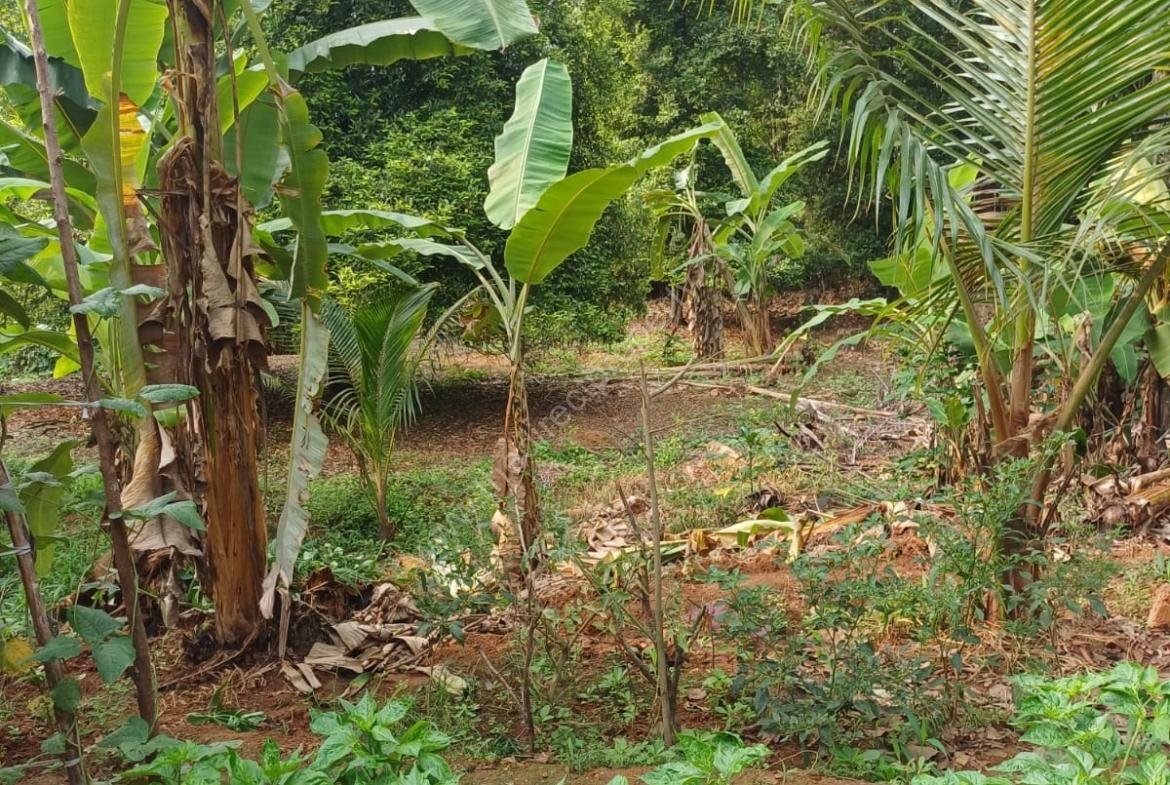 House and Land for Sale in Nellad