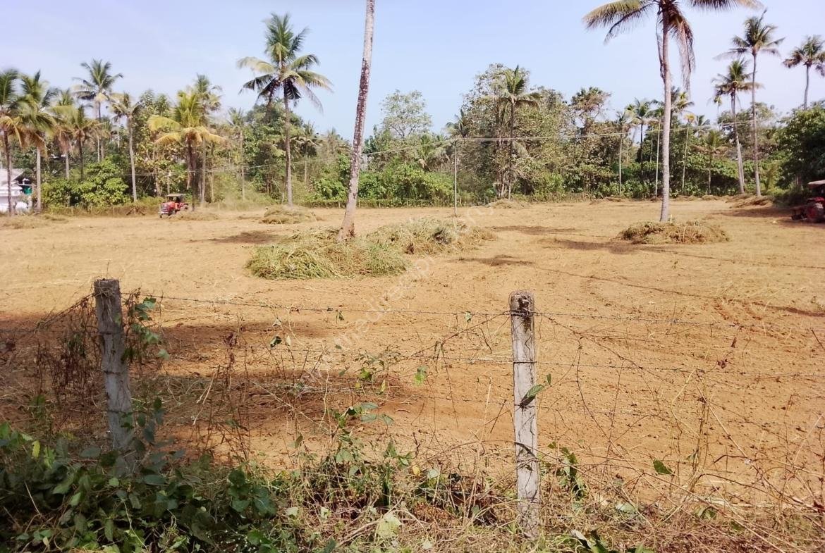 Chalakudy Land for sale