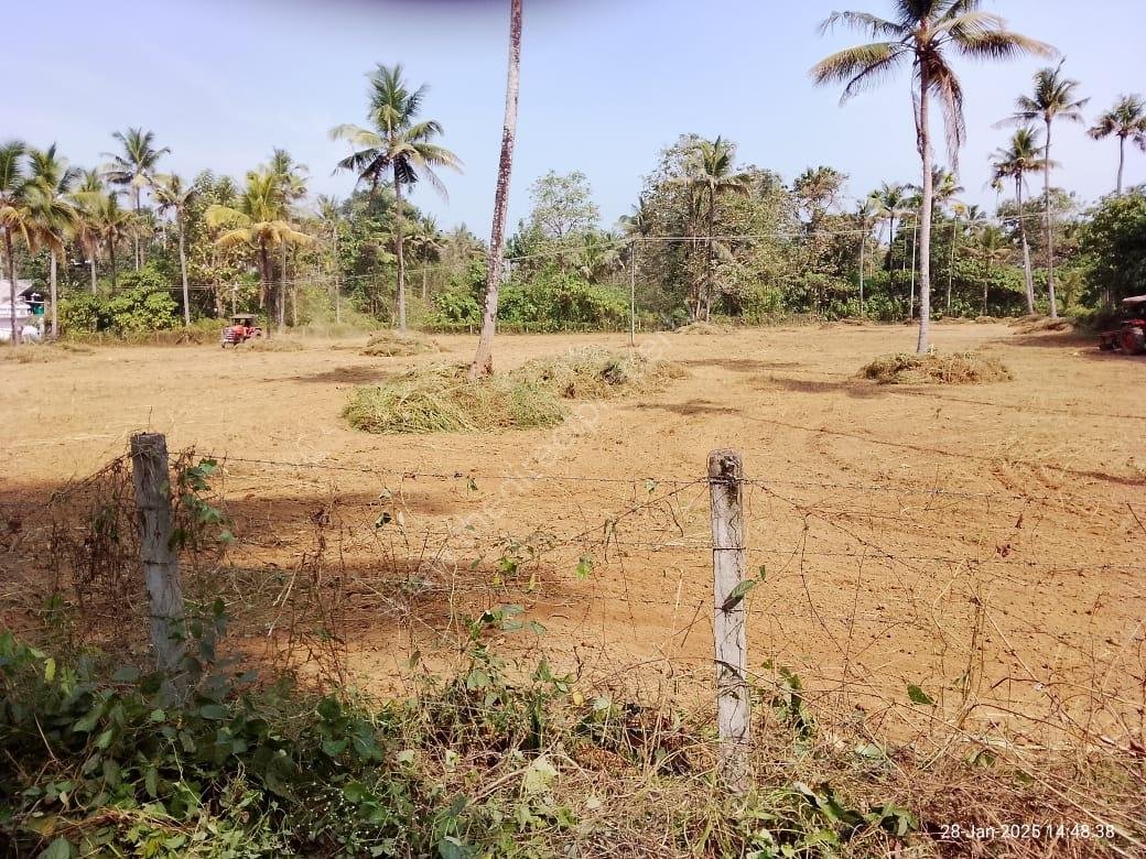 Chalakudy Land for sale