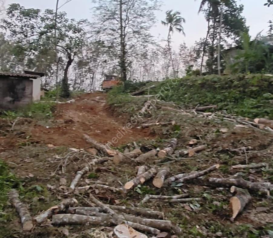 Residential Land for Sale in Vellappara, Konni
