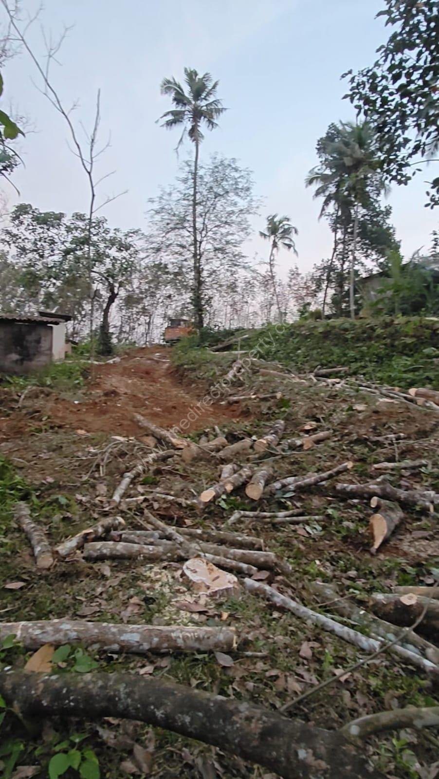 Residential Land for Sale in Vellappara, Konni