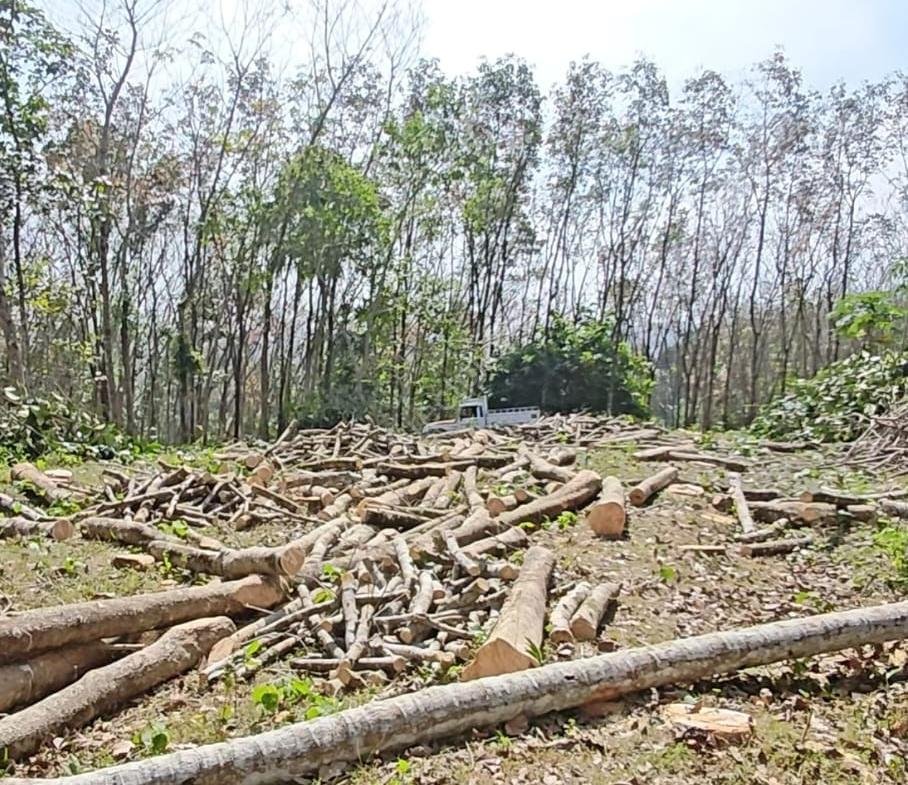 Residential Land for Sale in Vellappara, Konni