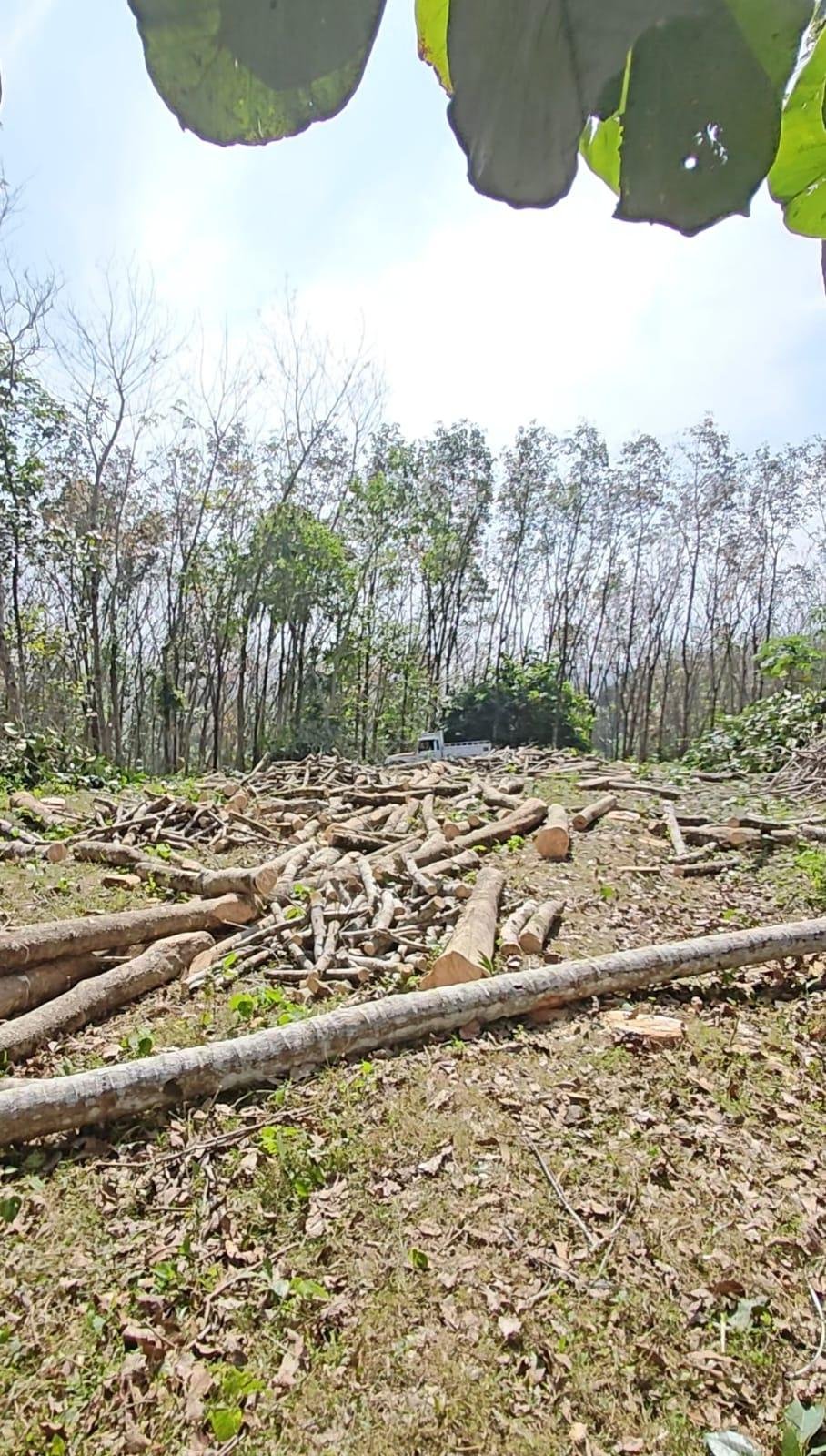 Residential Land for Sale in Vellappara, Konni