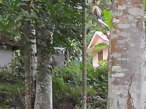 House for sale in Boundary, Vadasserikkara, Pathanamthitta