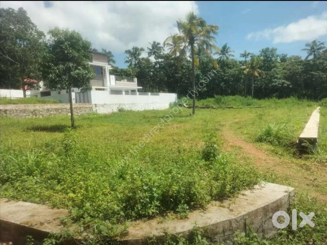 Property in Parippally