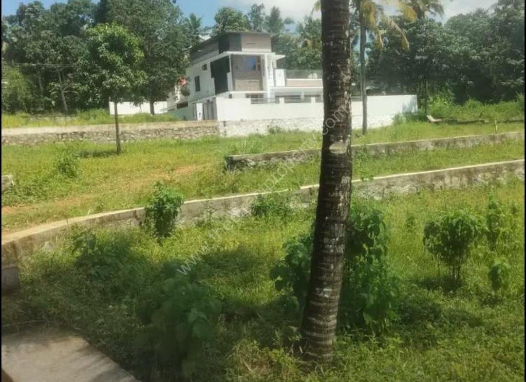 Property in Parippally