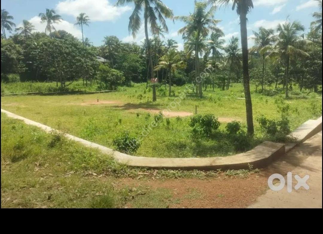 Property in Parippally
