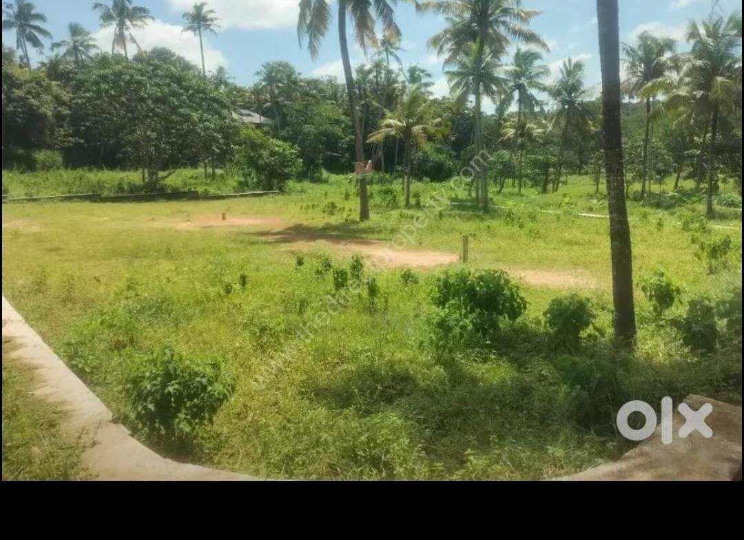 Property in Parippally