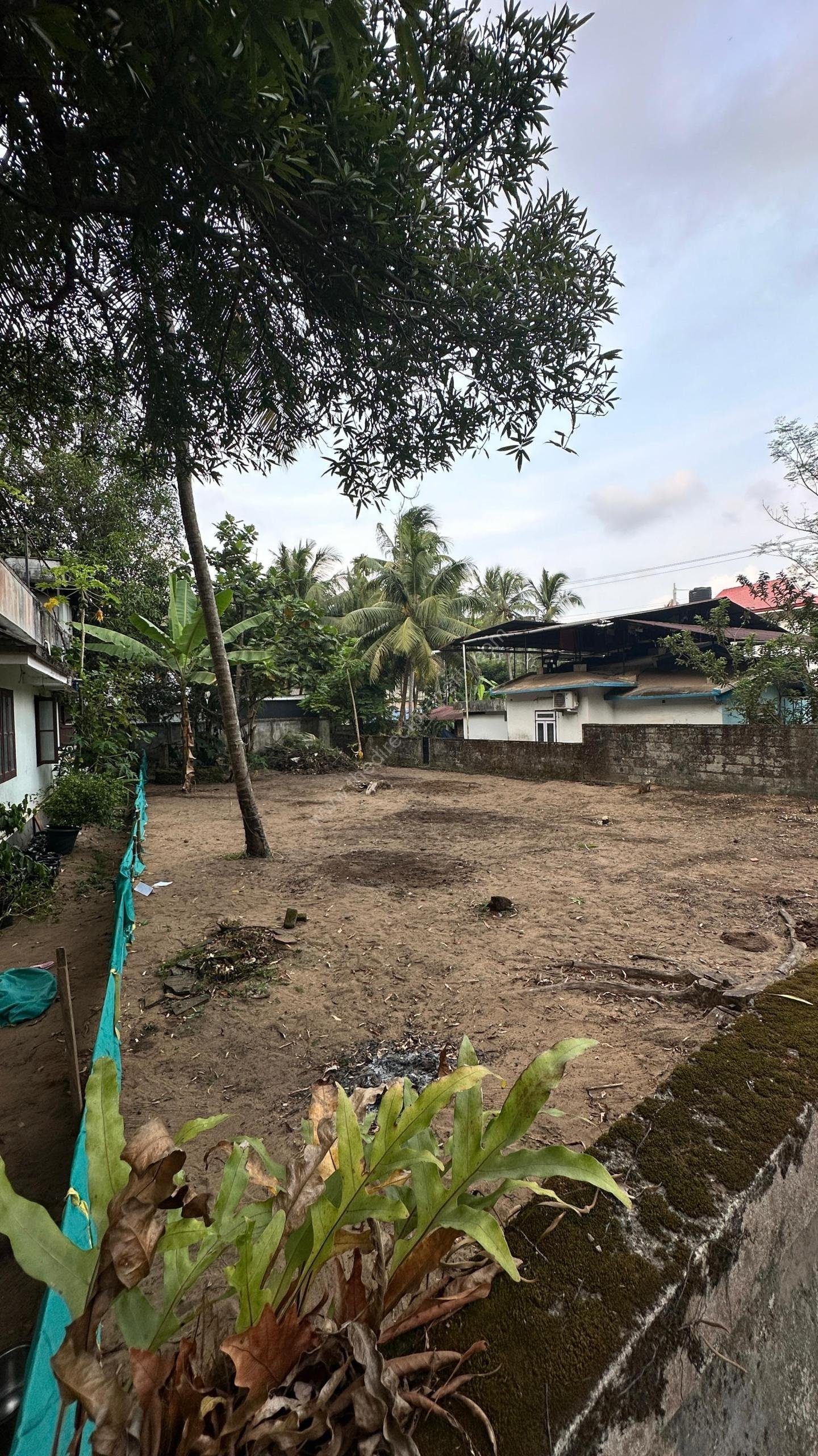 Prime 8 Cent Residential Plot near Guruvayoor Temple & NH 66