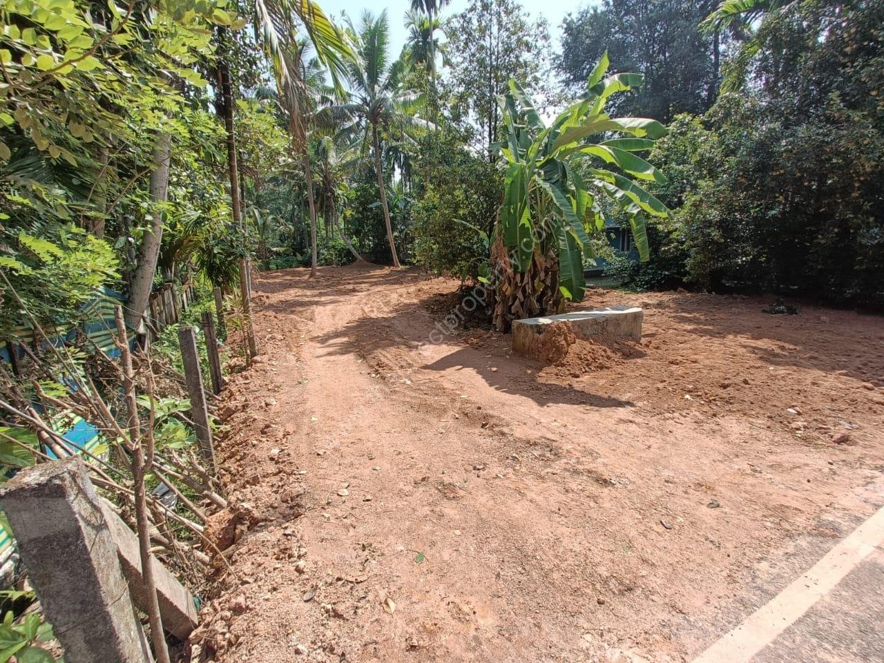 Small House & plots 22 cent in Thuruvelikkunnu