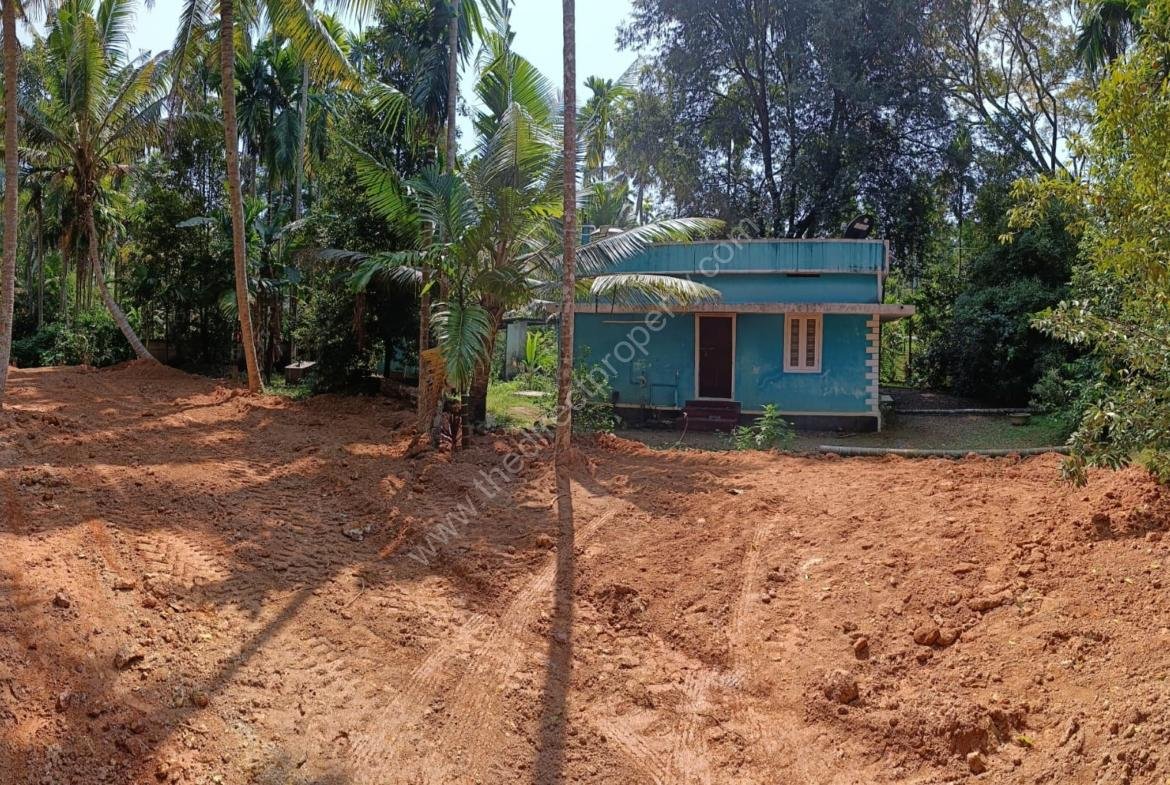 Small House & plots 22 cent in Thuruvelikkunnu
