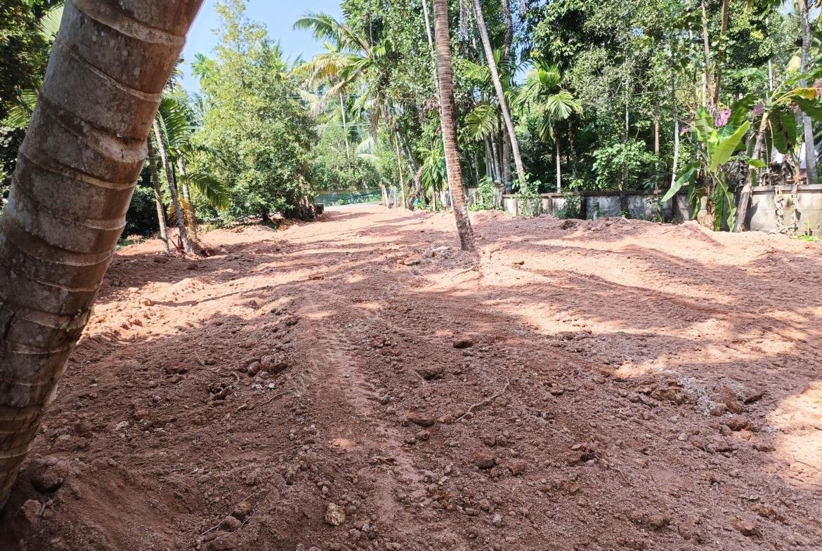 Small House & plots 22 cent in Thuruvelikkunnu