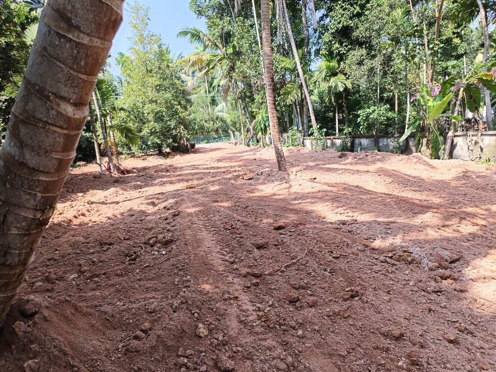 Small House & plots 22 cent in Thuruvelikkunnu