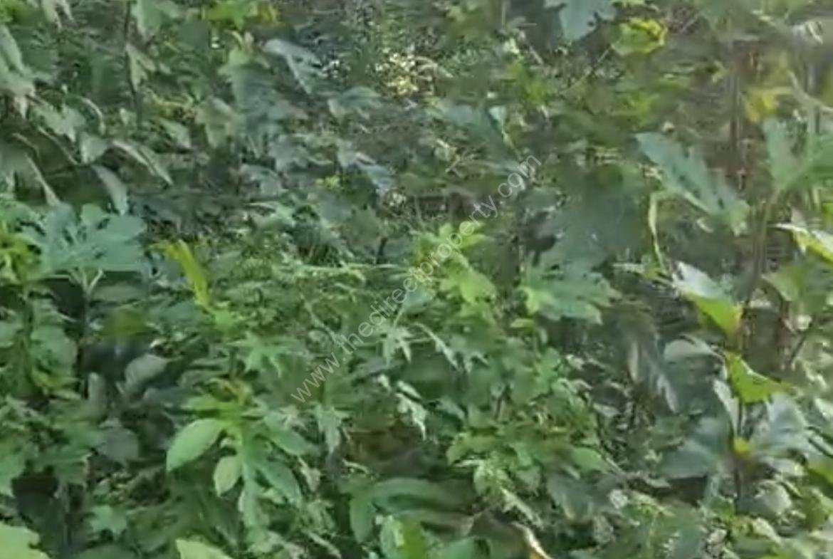 83 cents commercial/residential plot for sale in Valavoor Pala