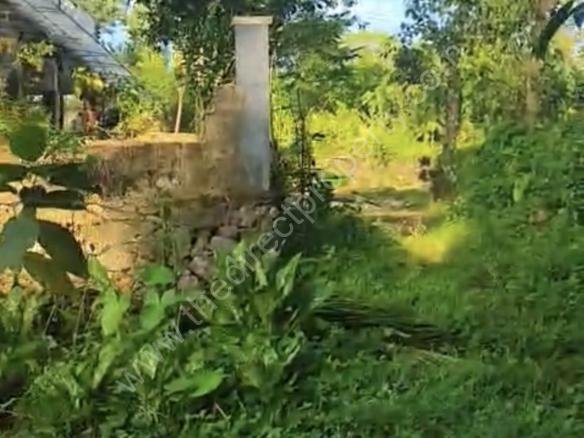 83 cents commercial/residential plot for sale in Valavoor Pala