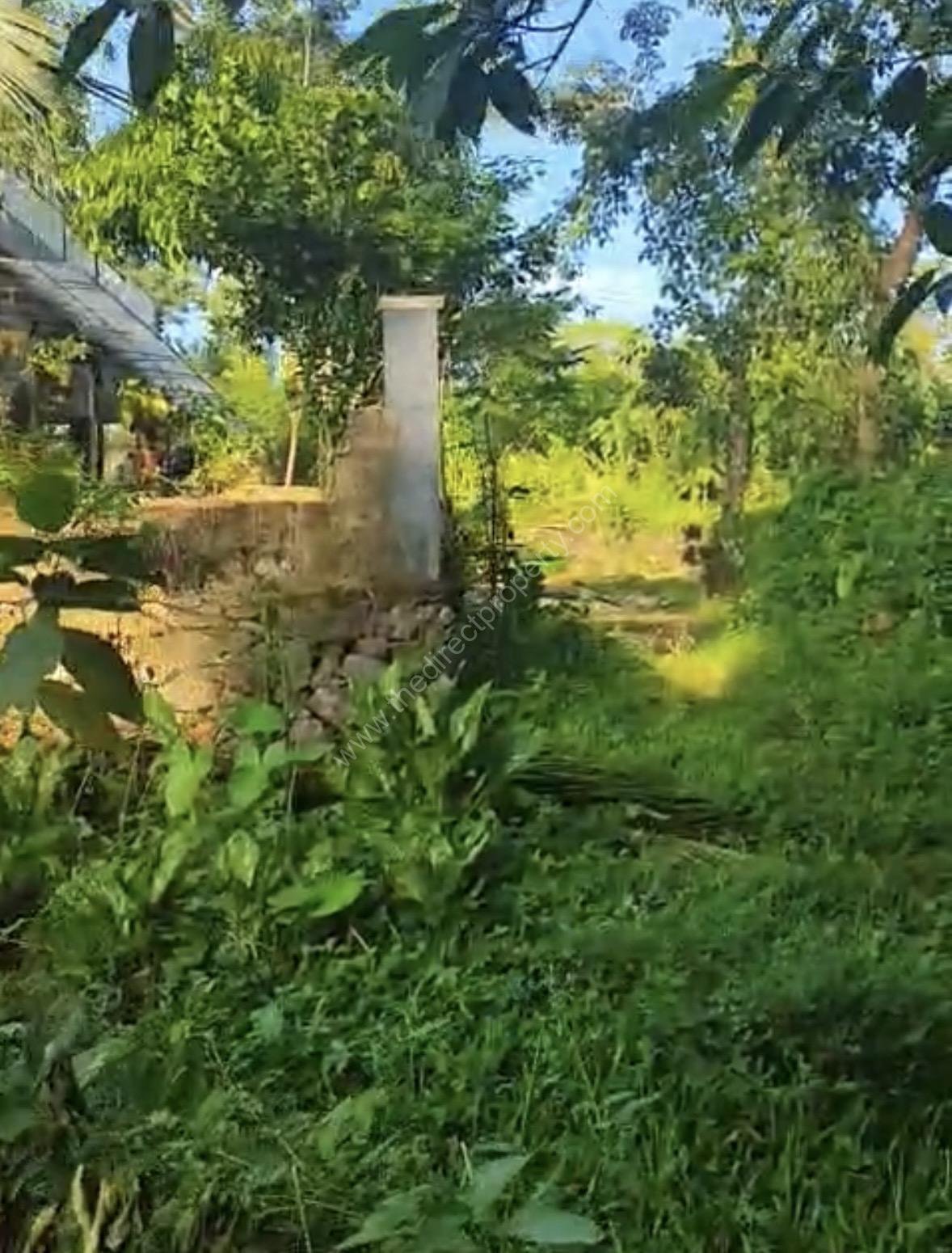 83 cents commercial/residential plot for sale in Valavoor Pala