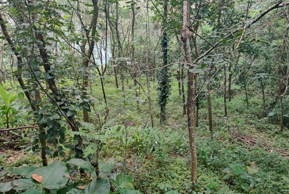 3bhk with 22.5 cent land for sale in Naduvil