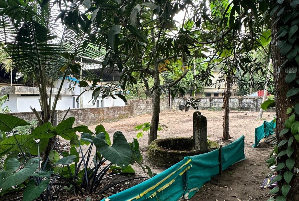 Prime 8 Cent Residential Plot near Guruvayoor Temple & NH 66