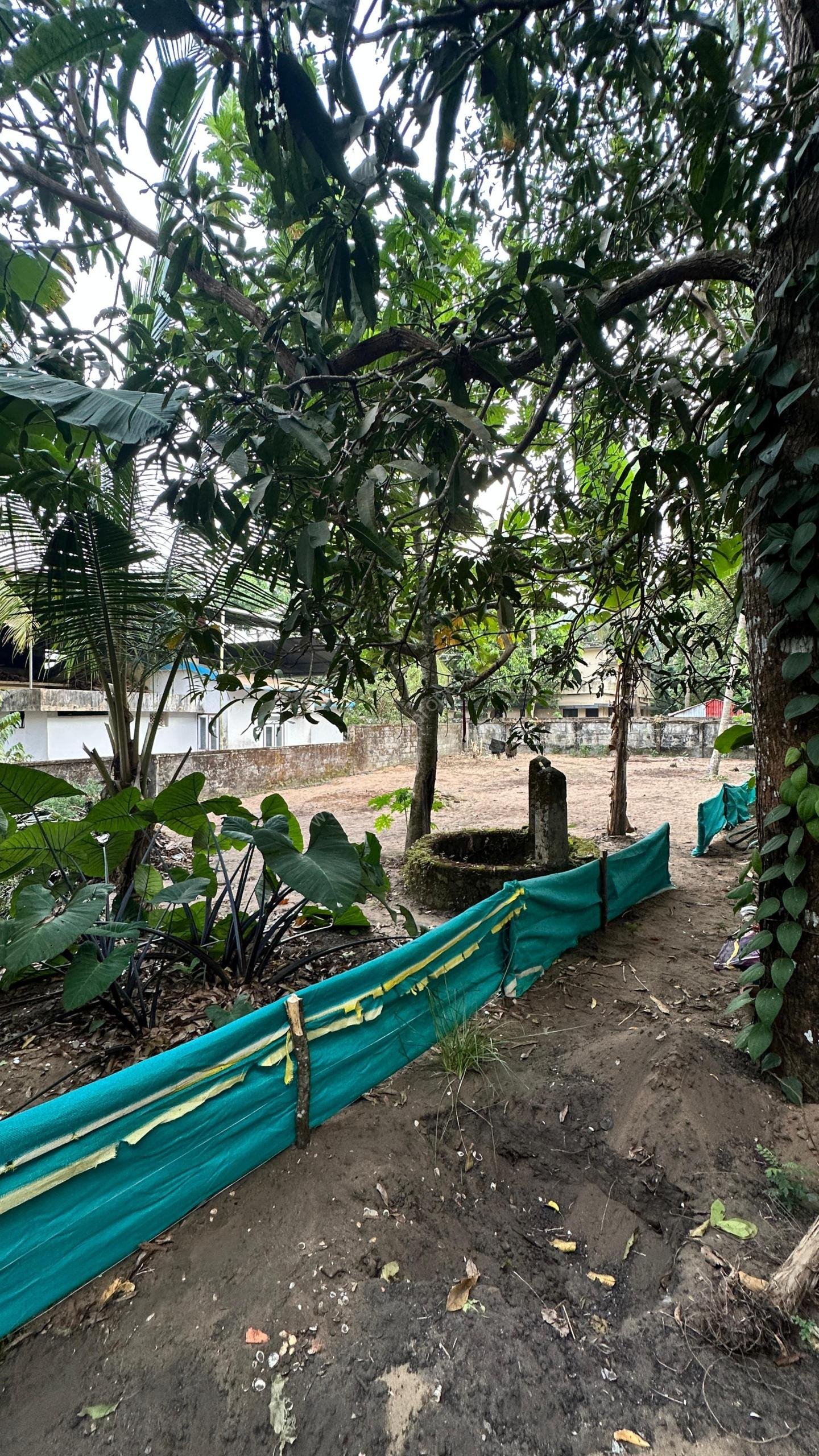 bc223ab3-4650-4de8-b0ce-5410616866b8 Prime 8 Cent Residential Plot near Guruvayoor Temple & NH 66