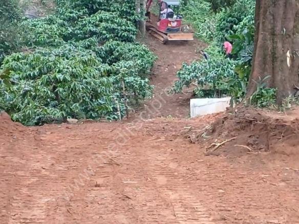 Land ideal for resorts in Kakkadam poyil