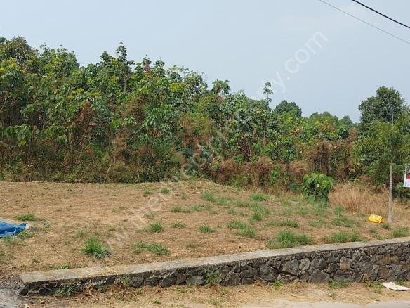 Residential Villa Plot in Mattakuzhy