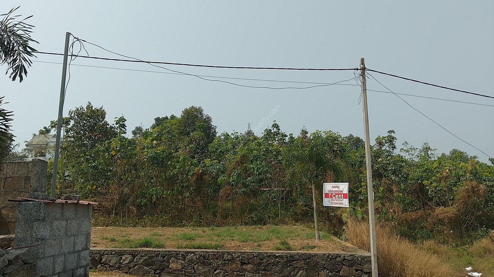 Residential Villa Plot in Mattakuzhy