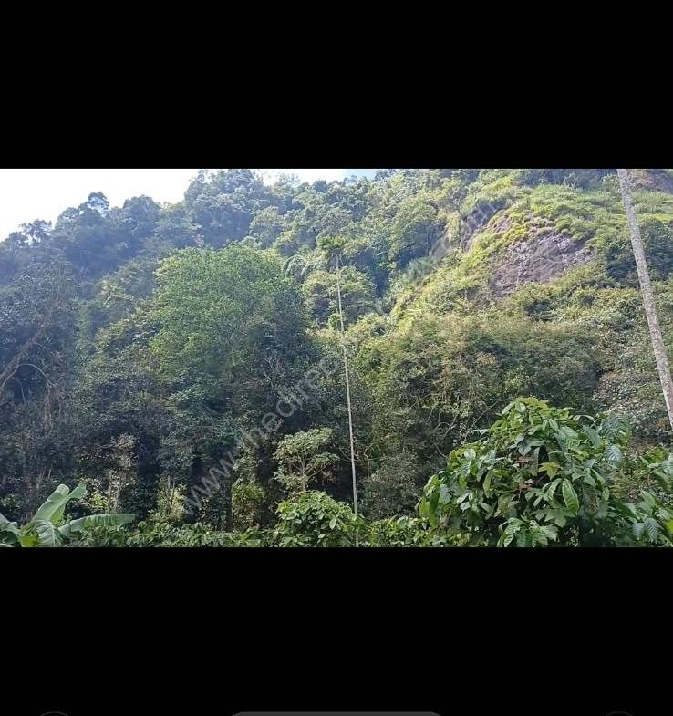 Land ideal for resorts in Kakkadam poyil