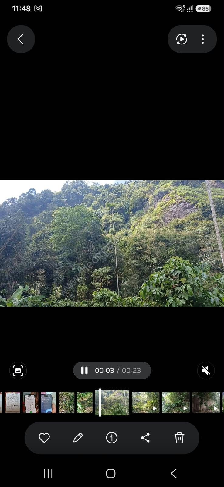 Land ideal for resorts in Kakkadam poyil