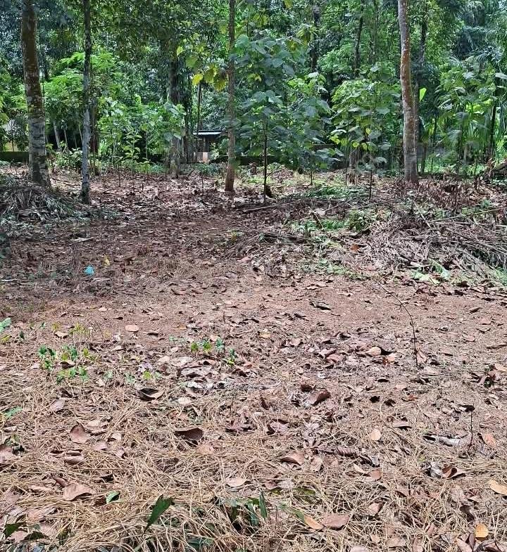 House plot for sale in Pandalam