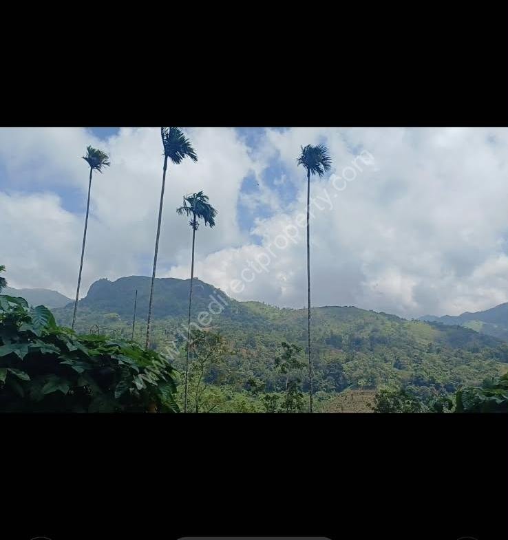 Land ideal for resorts in Kakkadam poyil