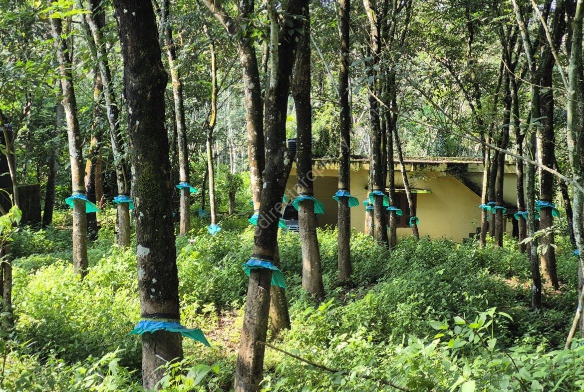 Land with a house for sale in Kaithaparampu