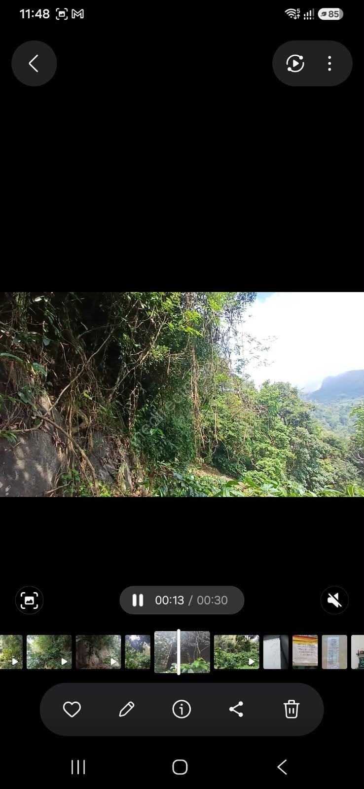 Land ideal for resorts in Kakkadam poyil