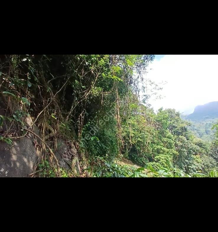 Land ideal for resorts in Kakkadam poyil