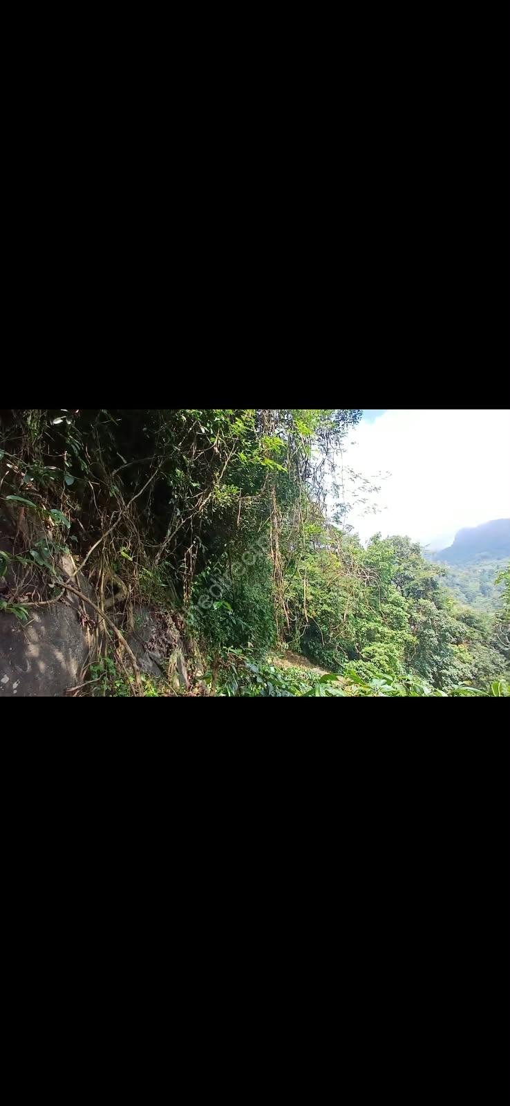 5 Land ideal for resorts in Kakkadam poyil