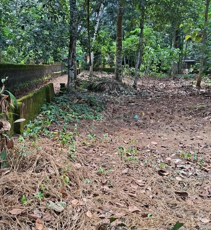 House plot for sale in Pandalam
