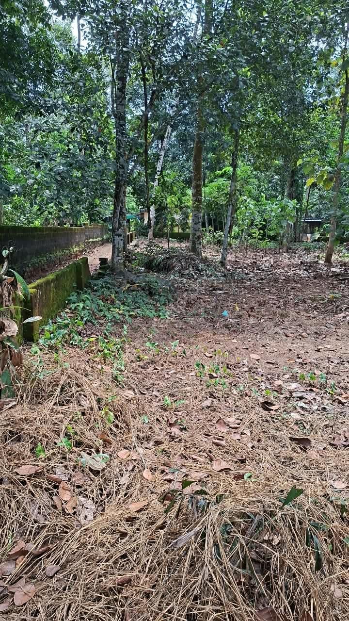 6 House plot for sale in Pandalam