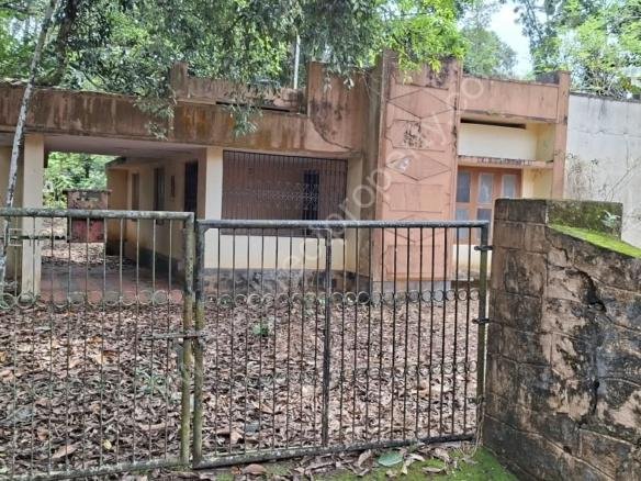House plot for sale in Pandalam