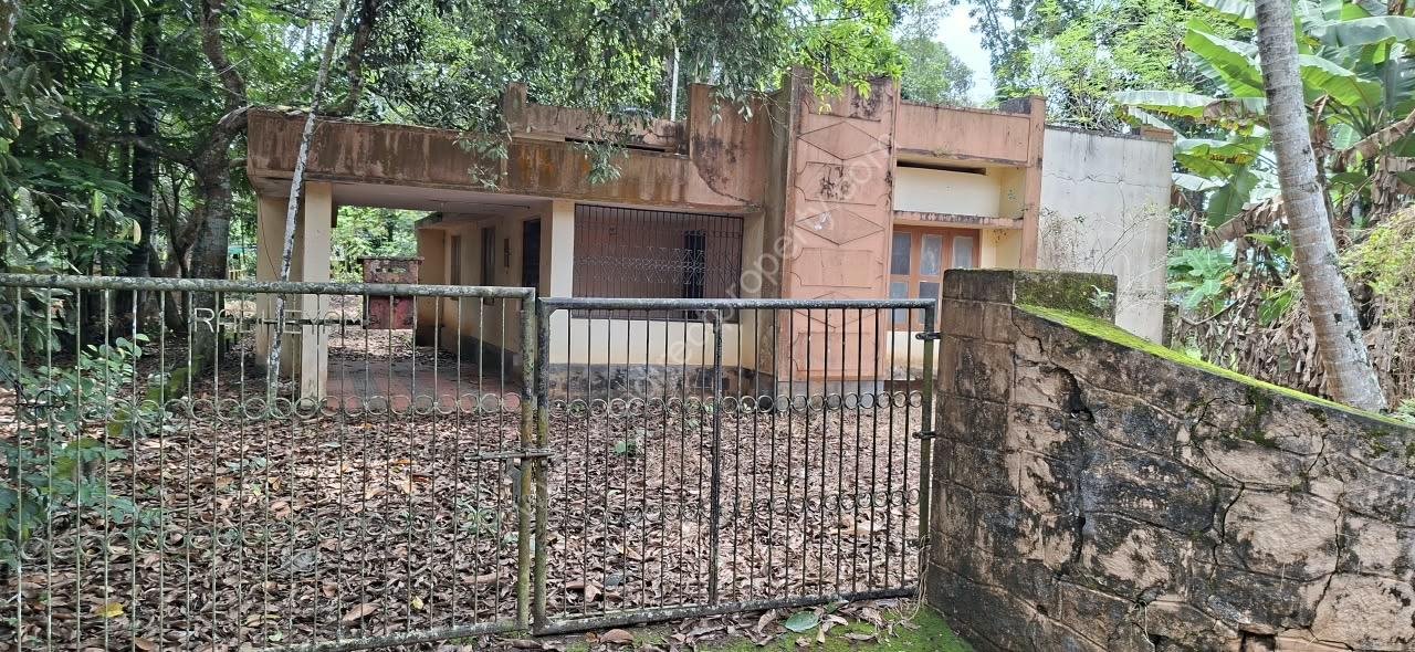 7 House plot for sale in Pandalam