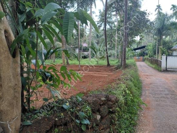 12.5 cent plot for immediate sale in Balussery