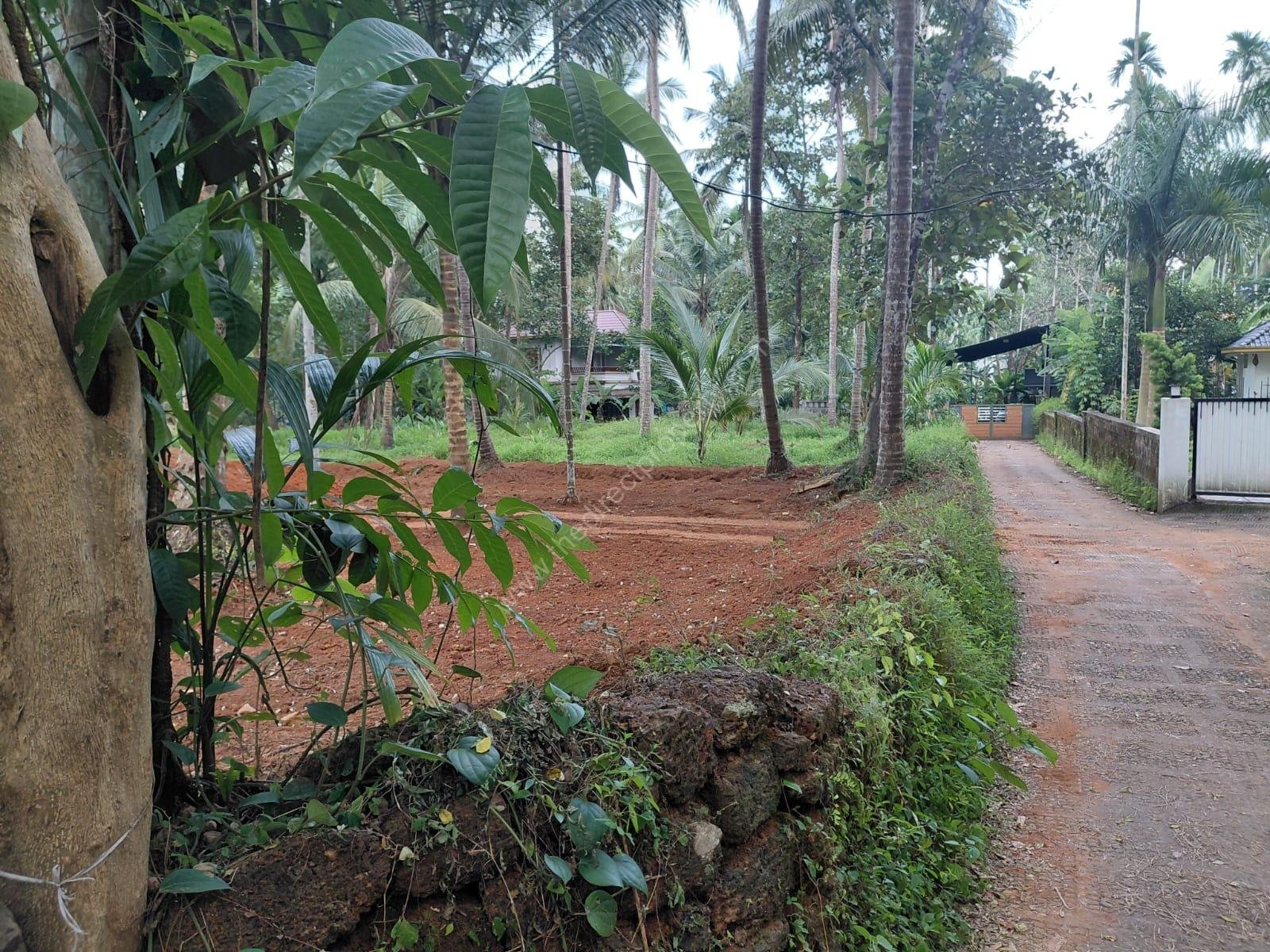 IMG-20260909-WA0002 12.5 cent plot for immediate sale in Balussery