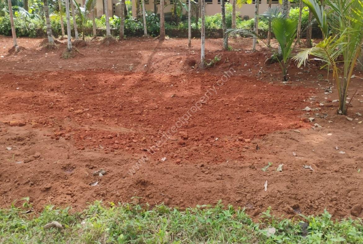 12.5 cent plot for immediate sale in Balussery