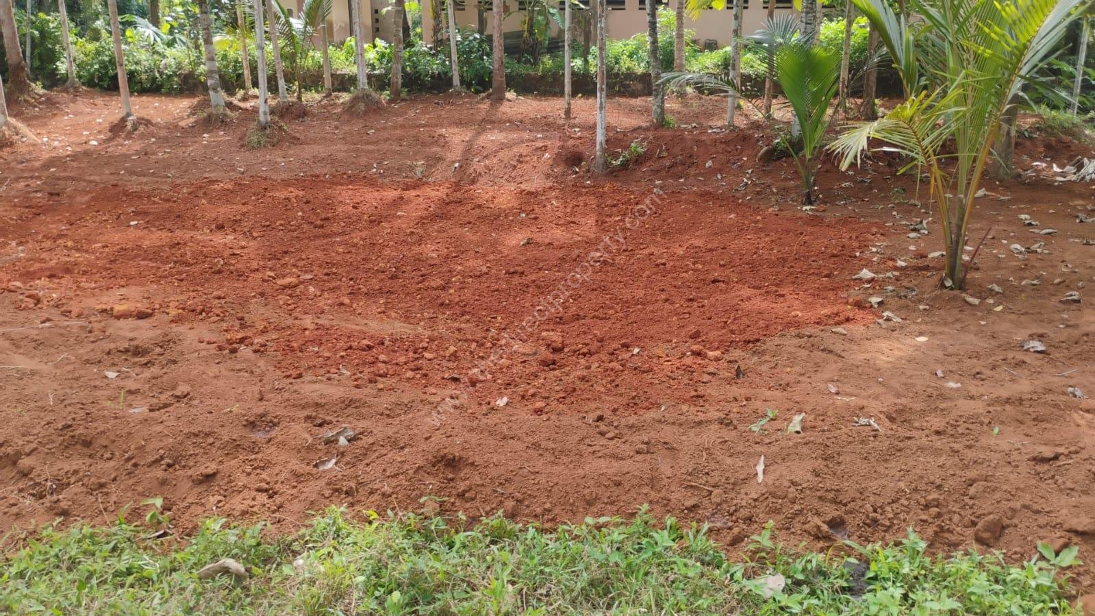 12.5 cent plot for immediate sale in Balussery