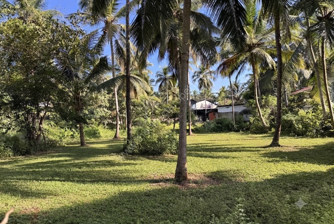 Commercial land for rent or lease in Malappuram