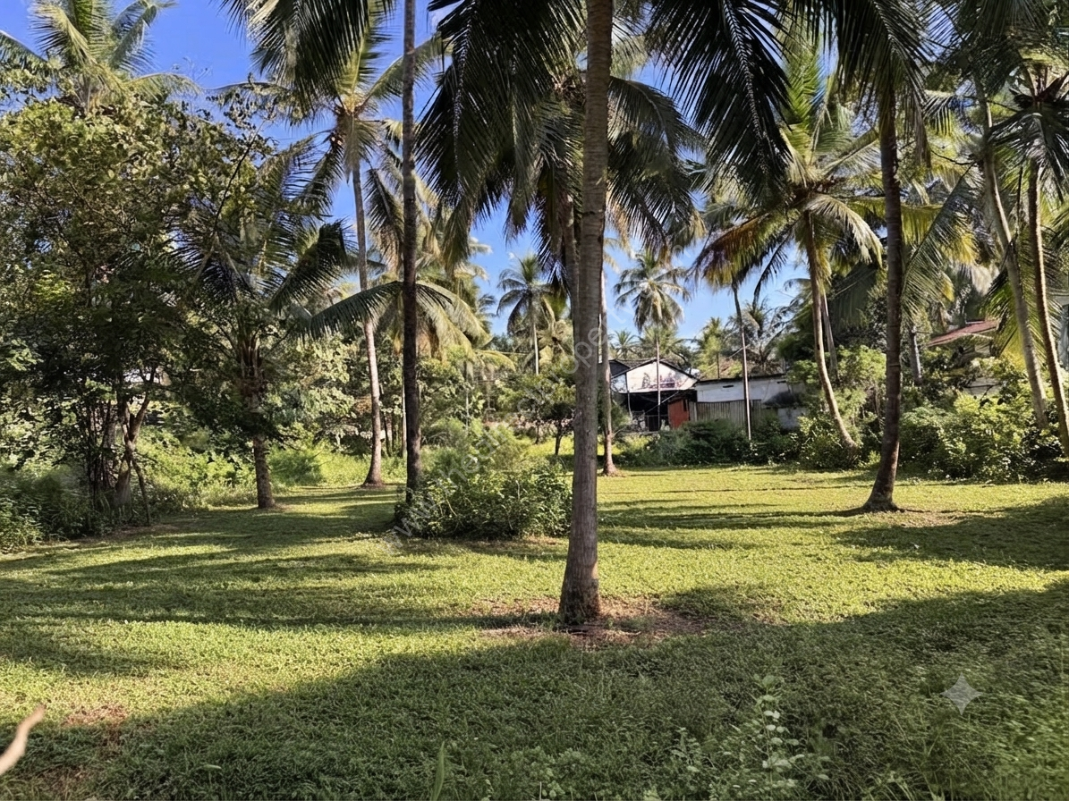 Commercial land for rent or lease in Malappuram