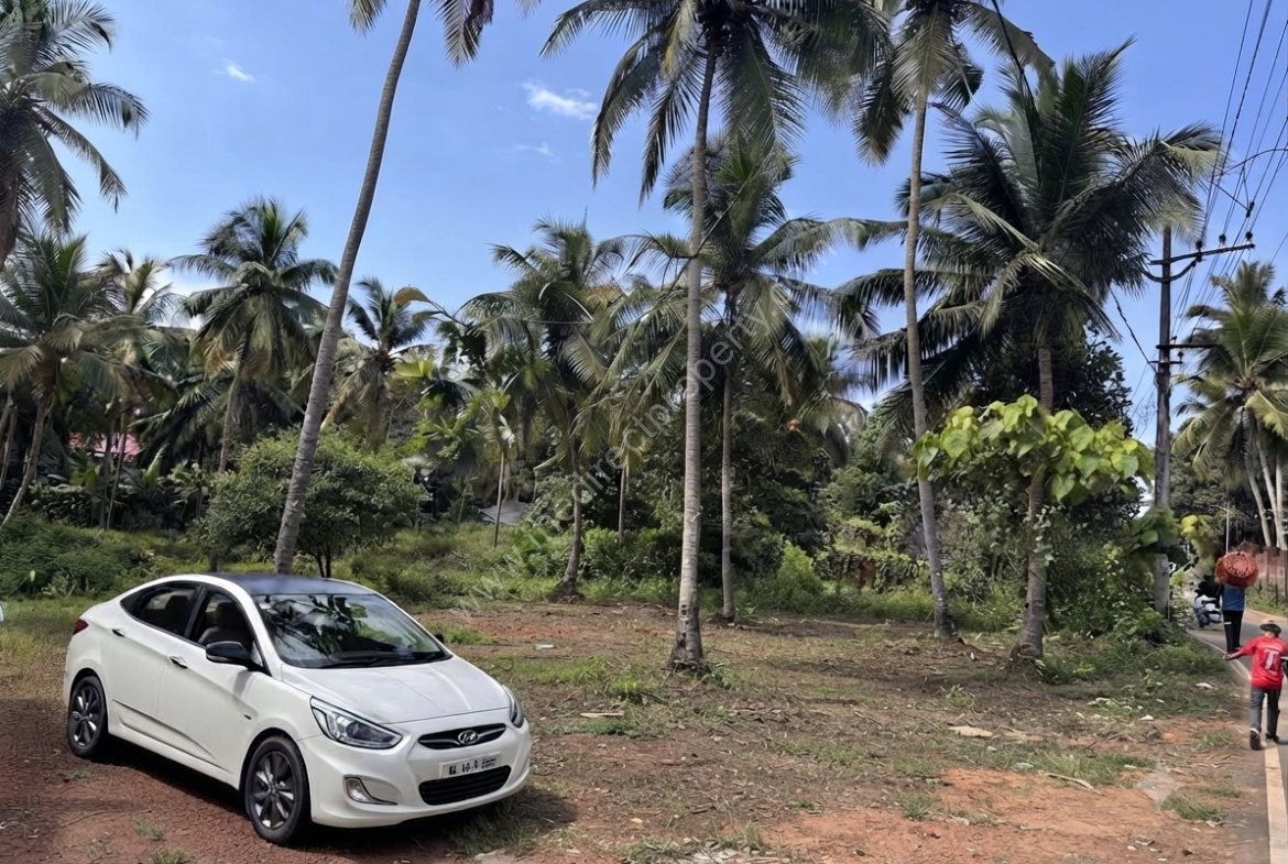 Commercial land for rent or lease in Malappuram