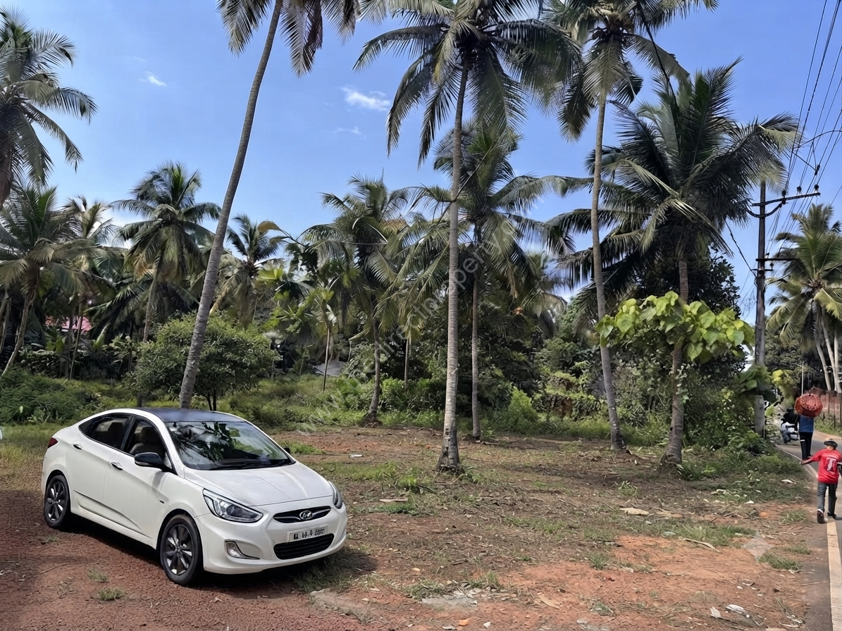 IMG_3002 Commercial land for rent or lease in Malappuram