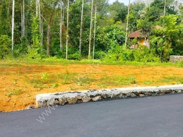 Residencial Plot for Sale in Kochi