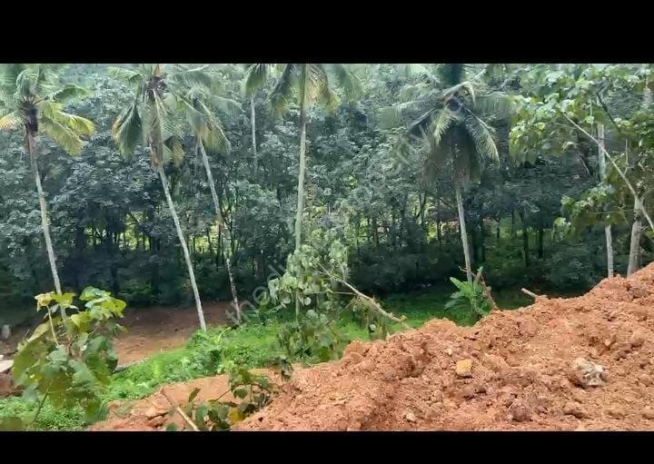 Semi Commercial Land for Sale in Mullassery Trivandrum