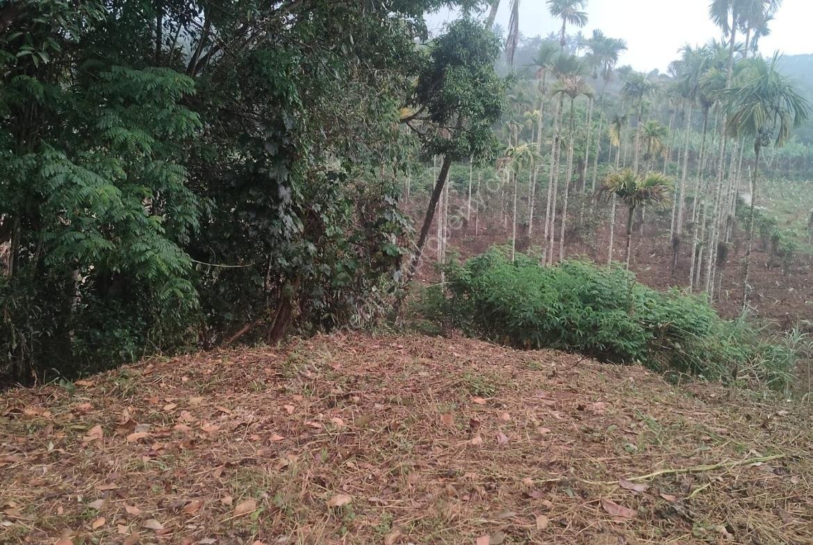Plot for sale in Mananthavady