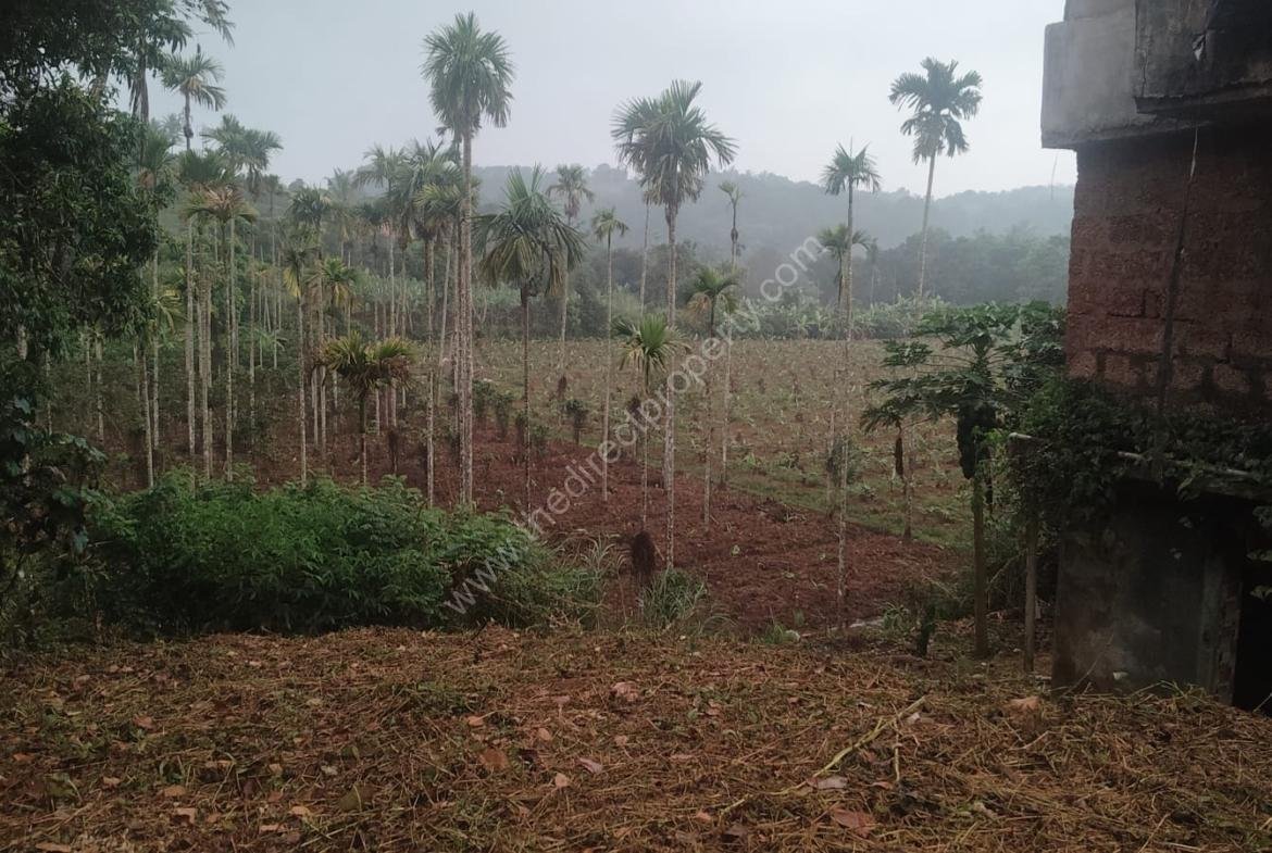 Plot for sale in Mananthavady